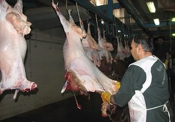 تنها کشتارگاه صنعتی شهرستان تاکستان احیا شد تنها کشتارگاه صنعتی شهرستان تاکستان احیا شد