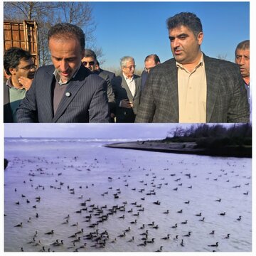 ۳ زیستگاه اصلی گیلان میزبان پرندگان مهاجر ۳ زیستگاه اصلی گیلان میزبان پرندگان مهاجر