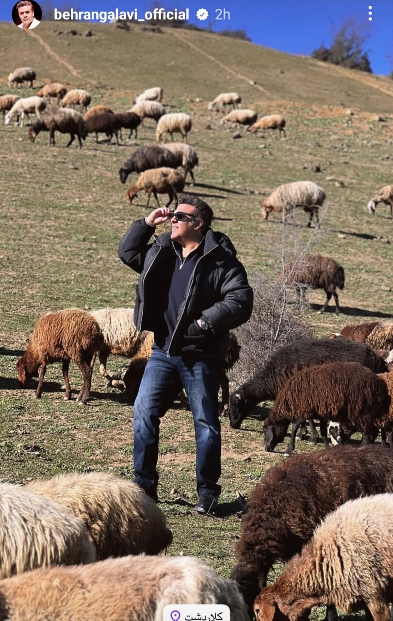 بهرنگ علوی در کلاردشت چه میکند/ عکس