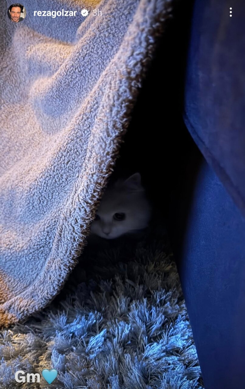 محمدرضا گلزار و تبریک مبعث پیامبر (ص)/ عکس محمدرضا گلزار و تبریک مبعث پیامبر (ص)/ عکس