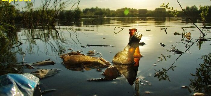 رهاسازی شیرابه زباله در رودخانهای در شمال ایران خبرساز شد/ سرطان و آلزایمر پیامد آلودگی آبها/ مجازات آلودهکنندگان منابع آبی چیست؟