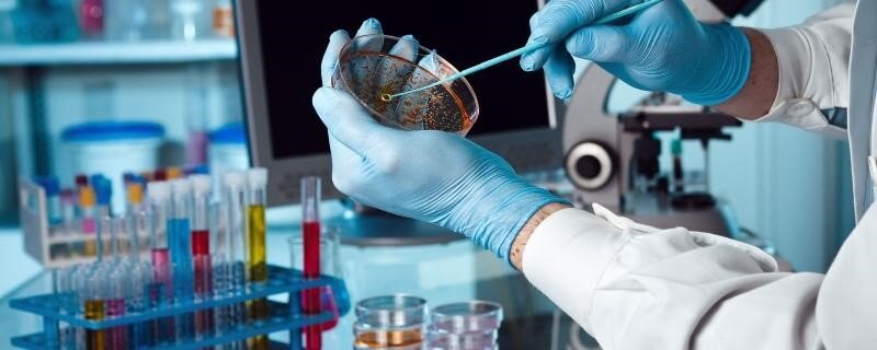 بهترین آزمایشگاههای شیراز و تهران؛ خدمات برتر پزشکی