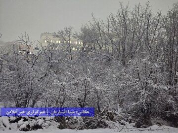 ارومیه برفی