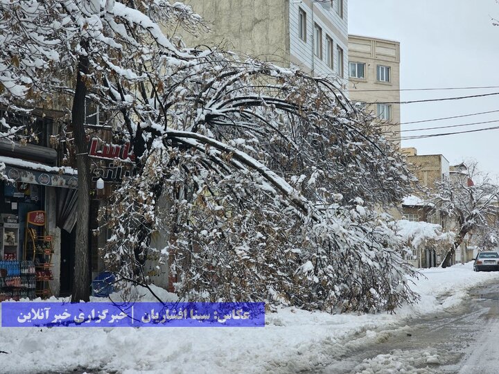 ارومیه برفی