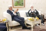 ببینید |  آیا کروبی مشمول عفو رهبری شده است؟ / سخنگوی دولت توضیح داد