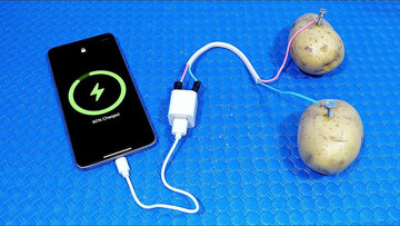 شارژ گوشی با سیبزمینی/ واقعیت یا عوامفریبی؟