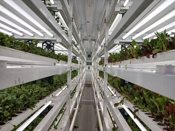 ناوهای نظامی ایران به فناوری کشت عمودی مجهز میشوند