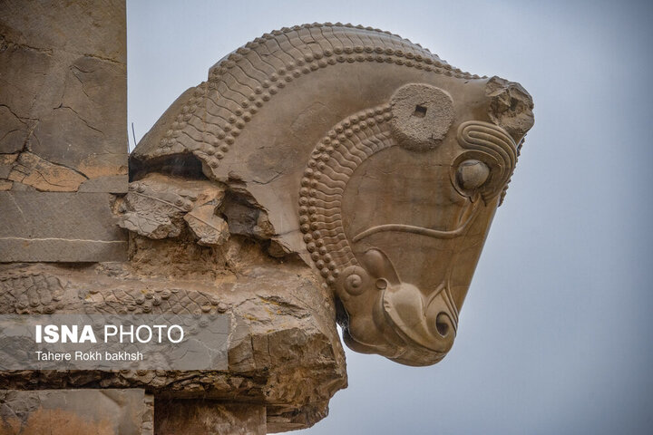 تخت جمشید در باران