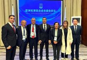 یک ایرانی بار دیگر رییس اینلاین هاکی آسیا شد