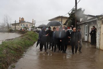 وقتی کارآمدی ناجی بحران می شود وقتی کارآمدی ناجی بحران می شود