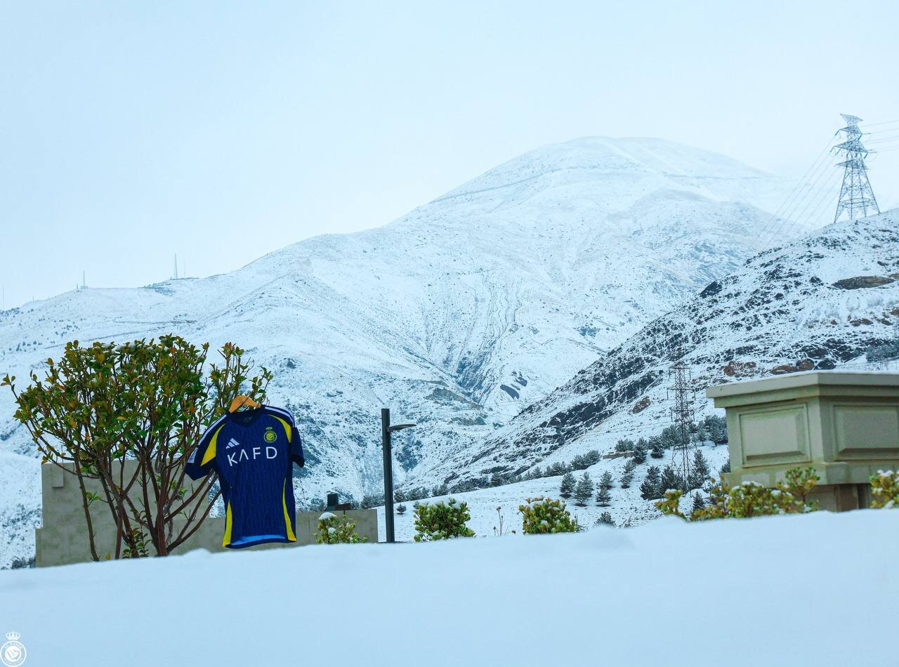خبر : عکس | ذوقزدگی جالب النصریها برای برف تهران! 1 عکس | ذوقزدگی جالب النصریها برای برف تهران!