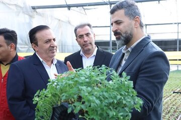 توسعه کشاورزی دانش بنیان راهی برای کاهش هزینهها