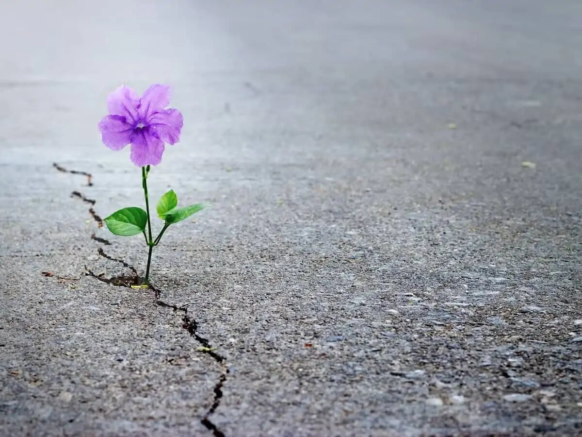 قرار است اوضاع چقدر بدتر شود؟ /آیا این مقاله برای ایرانیان می تواند مفید باشد؟/ امید زمانی سر برمیآورد که ظاهراً چیزی برای امیدواری وجود ندارد