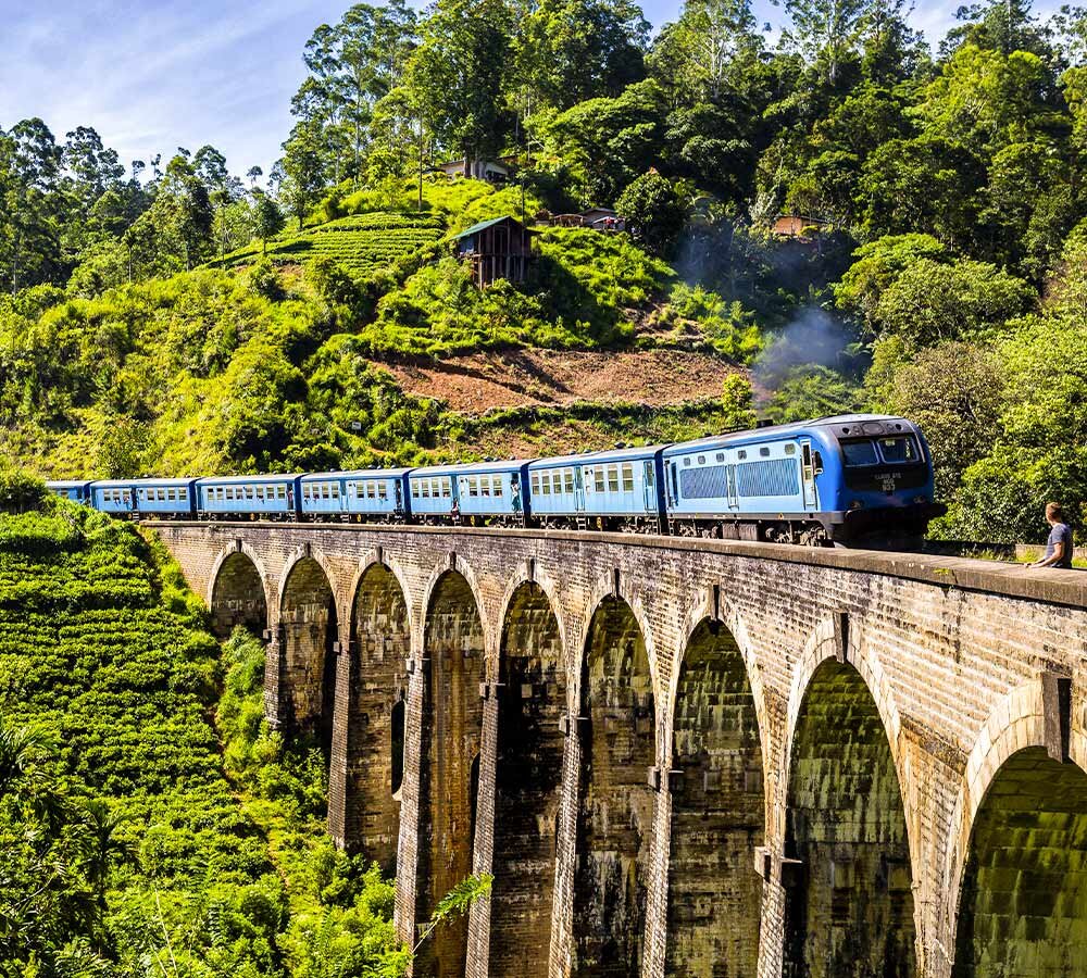 سلفی گرفتن باز هم کشته داد/ عکس