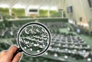 موافقان استیضاح همتی در مجلس چه می‌گویند؟ / همتی، حل مشکل اقتصاد را در بیرون از مرزها جستجو می‌کند