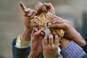 ببینید | آمار تامل‌برانگیز از فقر غذایی در ایران