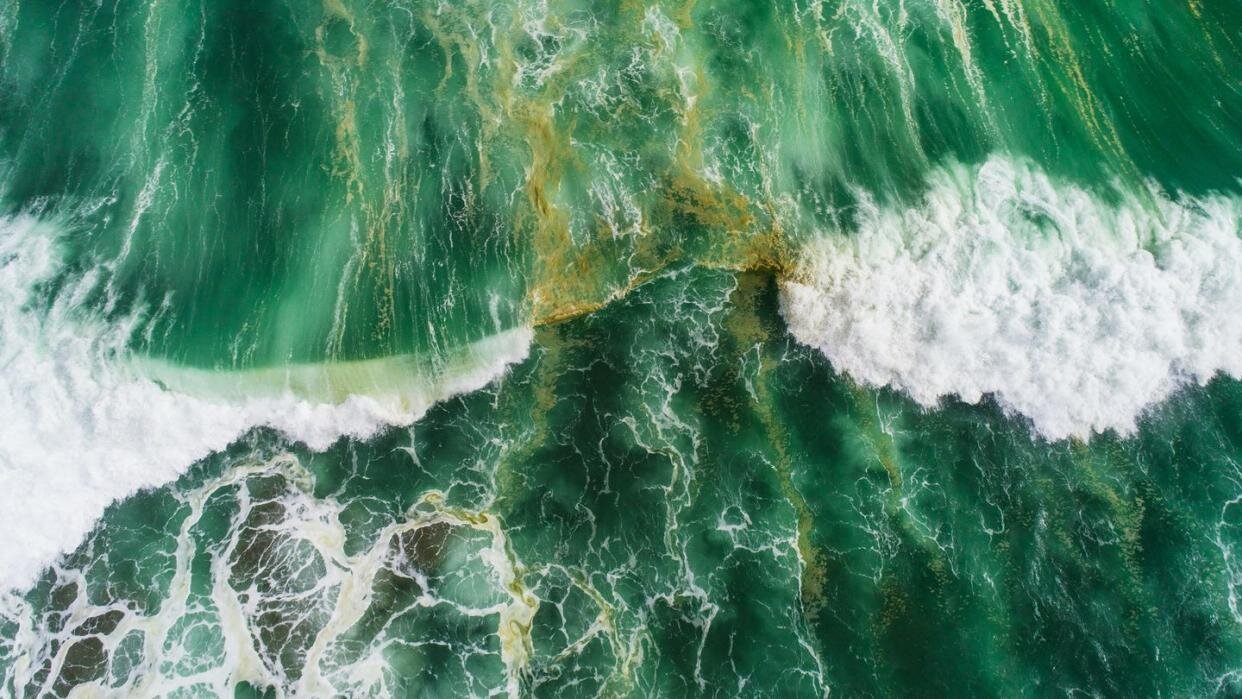 اقیانوسهای سبز در آینده؛ بازگشت به گذشتهای ۳ میلیارد ساله