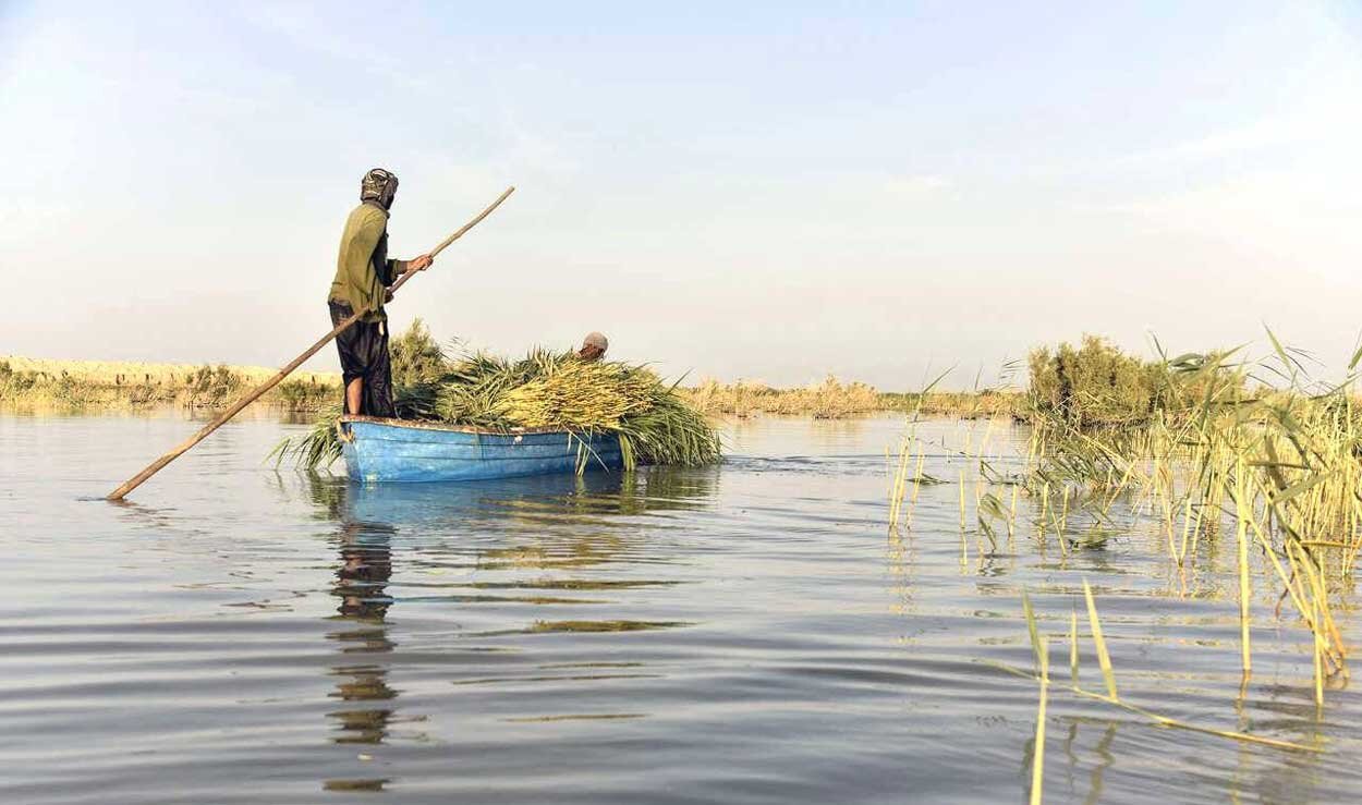 آب از مرز گذشت؛ هامون به حیات نزدیک‌تر شد