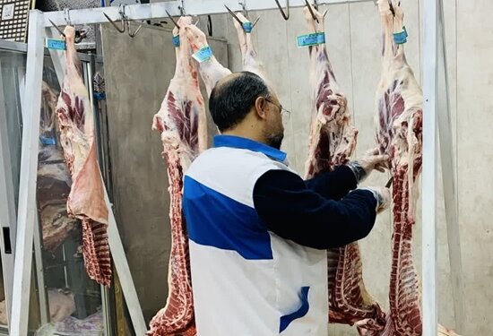 معدومسازی ۱۴۵۲ کیلوگرم گوشت ناسالم در زنجان