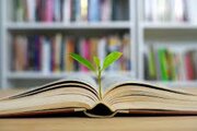 مطالعه با این روش جامعه را امن‌تر می‌کند!