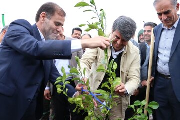 پیشانی طرح بیابانزدایی در کشور استان کرمان است پیشانی طرح بیابانزدایی در کشور استان کرمان است