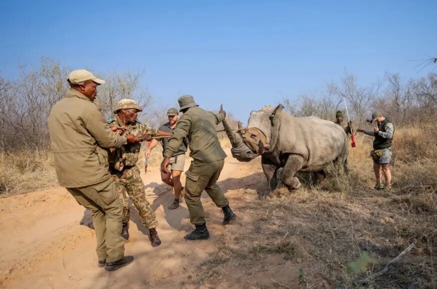جایزه ۲۰۰۰ هزار یورویی عکس طبیعت ۲۰۲۴ به چه کسانی رسید؟/ پانزده اثر برتر