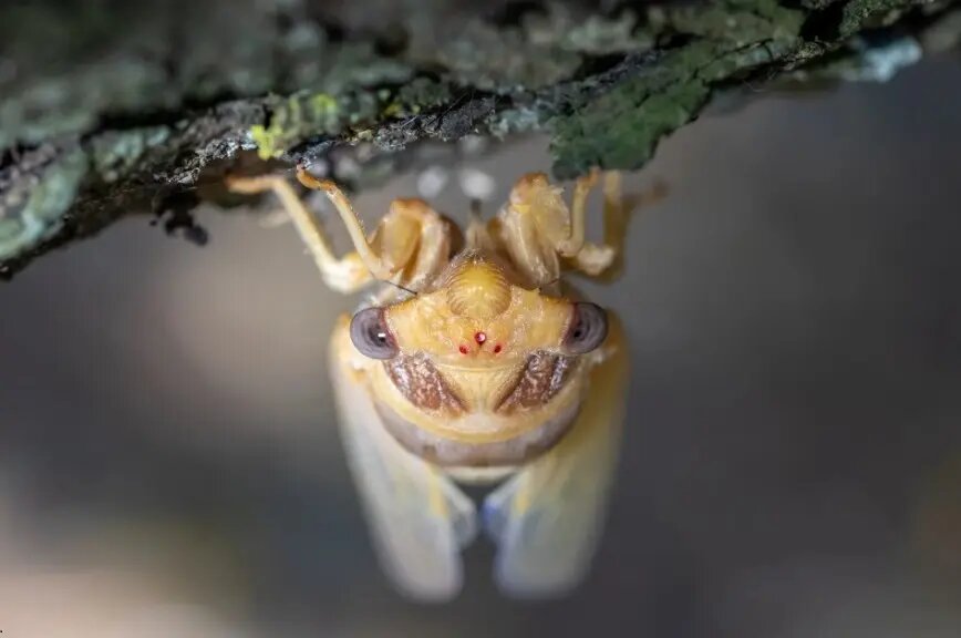 جایزه ۲۰۰۰ هزار یورویی عکس طبیعت ۲۰۲۴ به چه کسانی رسید؟/ پانزده اثر برتر