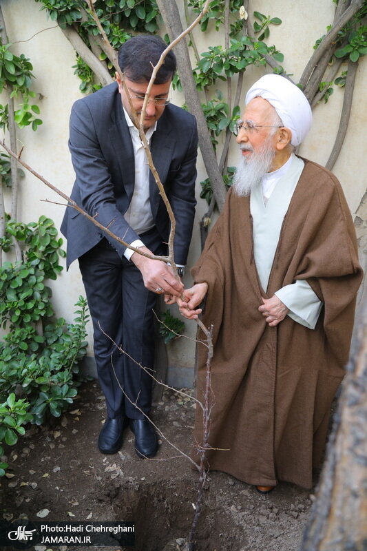 تصاویری از درختکاری آیت الله جوادی آملی/ آبروی انسان مومن امانت الهی است؛ کسی حق ندارد خودش را خوار و ذلیل کند