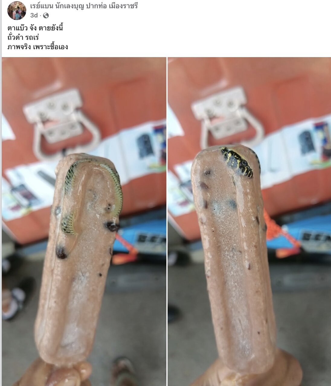 مار یخزده در بستنی؛ مرد پس از یک لقمه، با کابوس مواجه شد /عکس