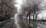 ببینید |  رگبار زمستانی خیابان‌های تهران را شُست