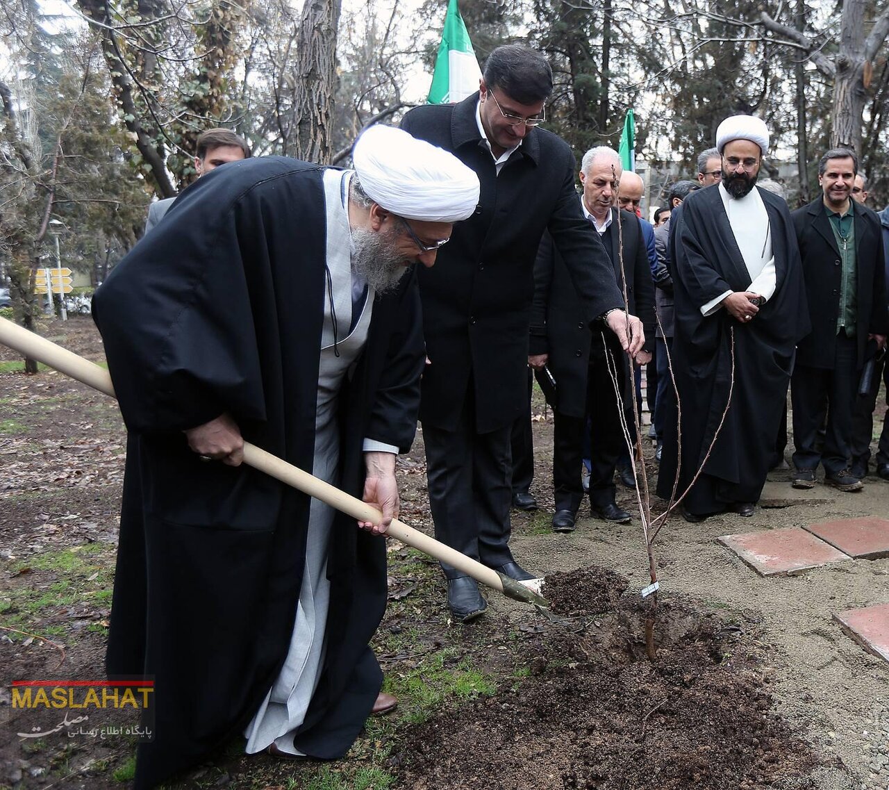 تصاویری از درختکاری آملی لاریجانی در این محل