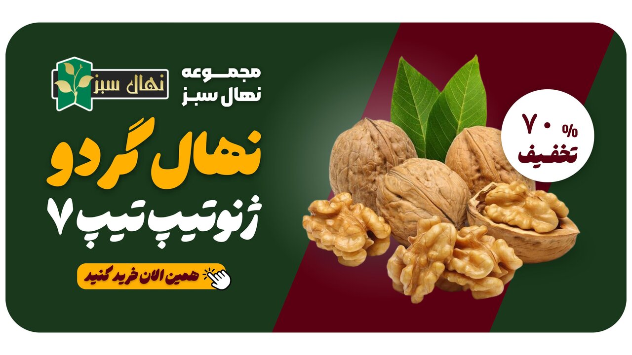 جشنواره درختکاری، نهال گردو فقط ۴۰ هزار