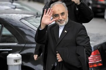 علی‌اکبر صالحی؛ دیپلماتی که رئیس بنیاد ایران‌شناسی شد