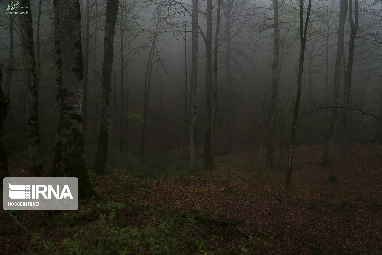 تالاب ارواح؛ مقصدی پرهیجان و ترسناک در ایران/ برای شکار روح آماده شویم یا قبض روح؟