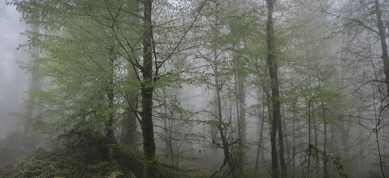 تالاب ارواح؛ مقصدی پرهیجان و ترسناک در ایران/ برای شکار روح آماده شویم یا قبض روح؟