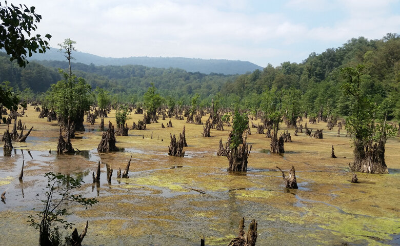 تالاب ارواح؛ مقصدی پرهیجان و ترسناک در ایران/ برای شکار روح آماده شویم یا قبض روح؟