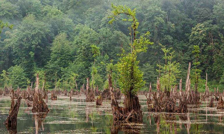 تالاب ارواح؛ مقصدی پرهیجان و ترسناک در ایران/ برای شکار روح آماده شویم یا قبض روح؟