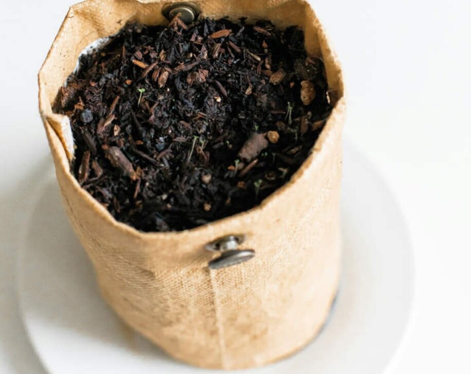 خرافات جدید از راه رسید؛ خاک گلدانهای بانک پولدارتان میکند!