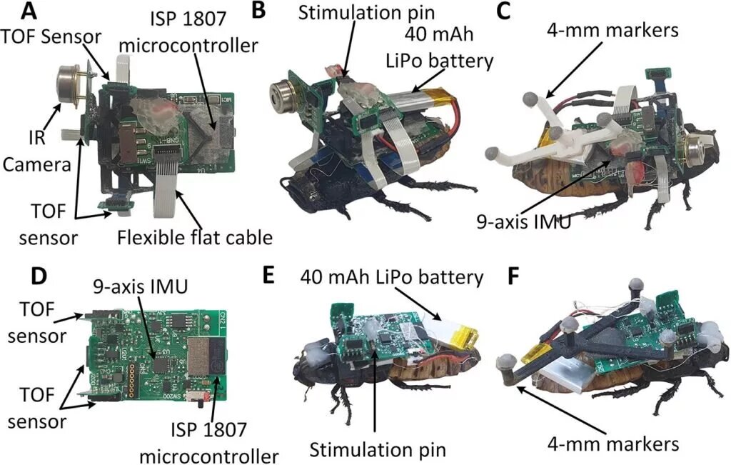 تبدیل سوسک به سایبورگهایی قدرتمند در مسیریابی! تبدیل سوسک به سایبورگهایی قدرتمند در مسیریابی!