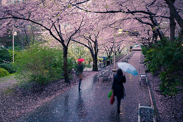 پیشبینی وضعیت هوا طی روزهای آینده / آسمان این استانها بارانی است