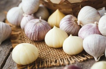 سیر تکحبهای که احتمالا درباره آن چیزی نمیدانید/ عکس سیر تکحبهای که احتمالا درباره آن چیزی نمیدانید/ عکس