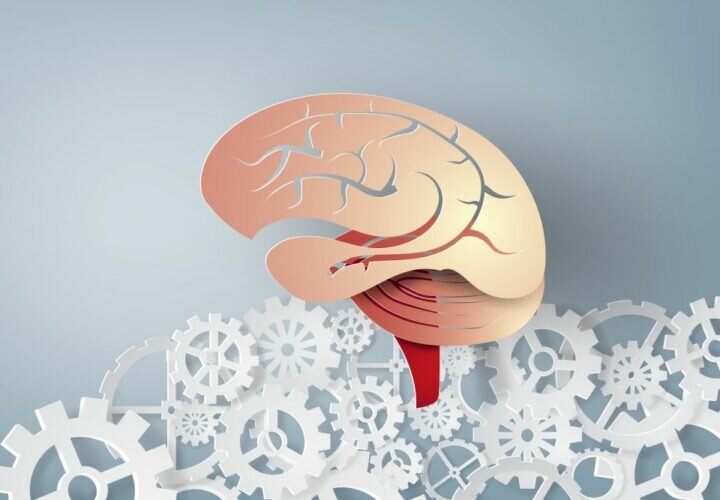 آیا افزایش ضریب هوشی ممکن است؟/ رازهای تقویت مغز و IQ