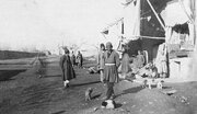روزگاری تهران را «دارالموت» می‌خواندند/ ایرانیان کفش را در حضور پادشاه از پا درمی‌آورند