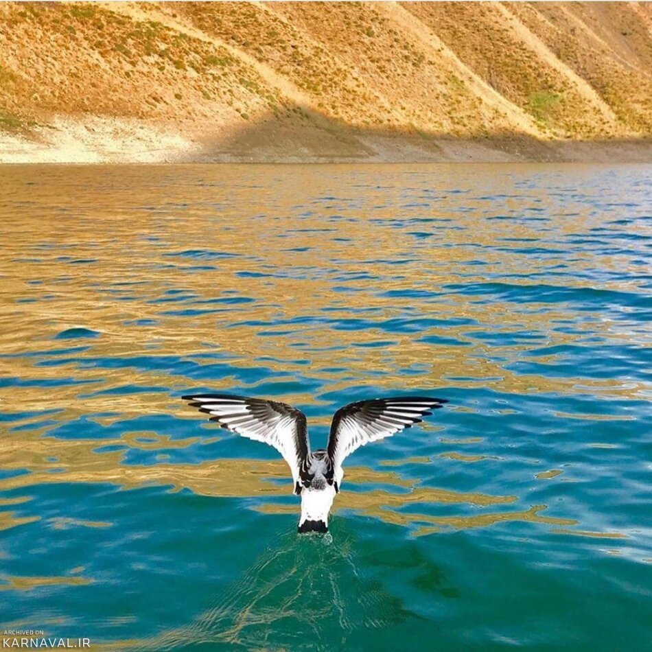 گنج پنهان کوههای البرز برای یک روز رویایی/ دریاچه تار و هَویر؛ دو آینه زلال در دل کوهستان