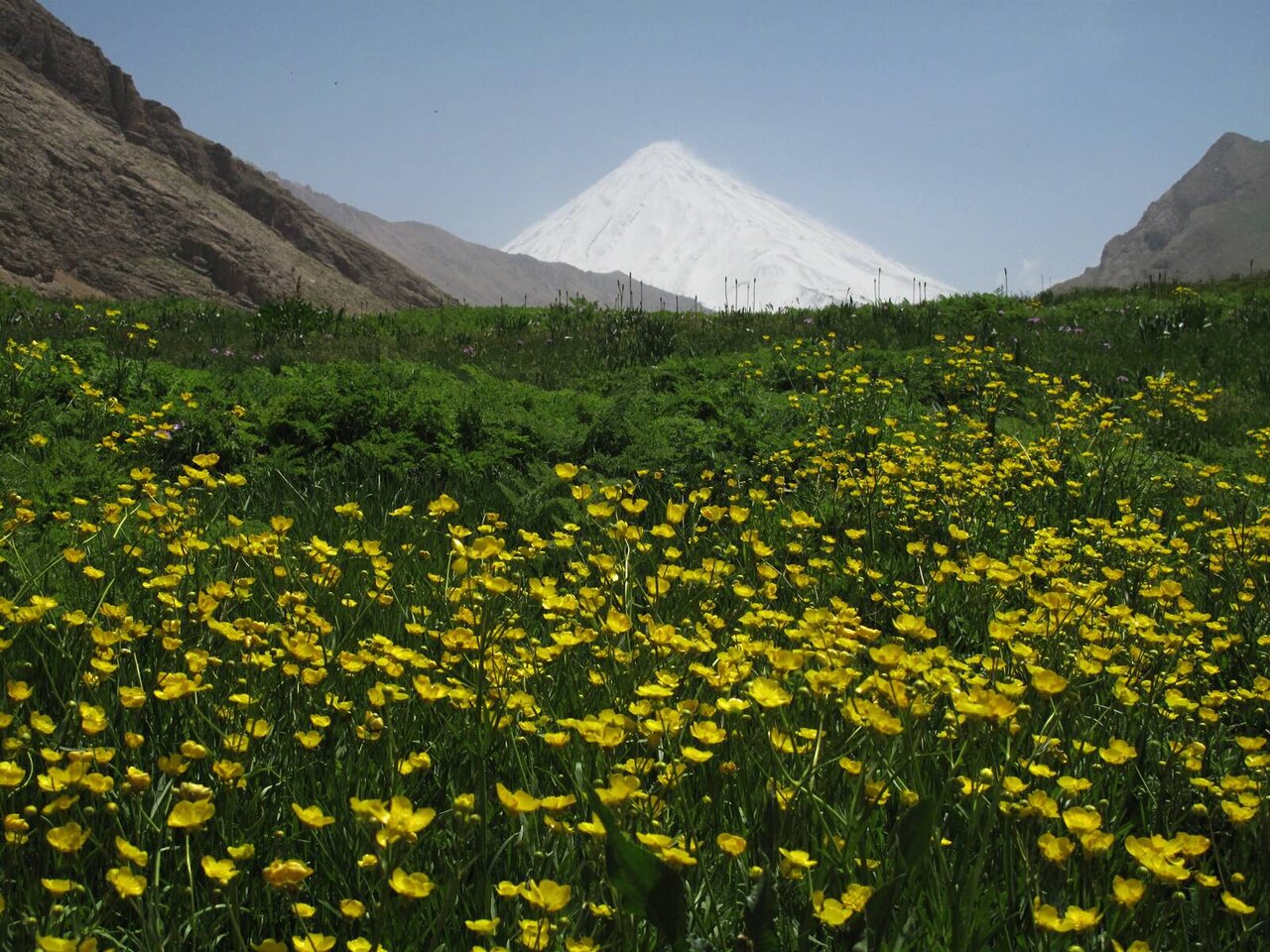 سفر یک‌روزه اطراف تهران‌ کجا برویم؟/ دشت لار، بهشت گمشده البرز؛ مقصدی بکر برای طبیعت‌گردی و عکاسی