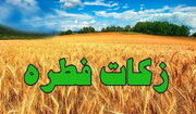 برای نخستین بار در کشور؛ اعلام مبلغ فطریه به تفکیک هر استان/ عکس