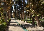 ببینید/ نورپردازی زیبای شبانه در «باغ فین» کاشان