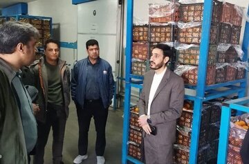 نماینده دادستان کرمان به متخلفان بازار میوه و تره بار هشدار داد نماینده دادستان کرمان به متخلفان بازار میوه و تره بار هشدار داد