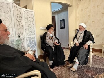 تصاویری از مهمان جدید مهدی کروبی بعد از رفع حصر / مصطفی محقق داماد و برادرش به دیدار شیخ رفتند