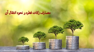 راهنمای رمضان؛ مصارف زکات فطره و نحوه انتقال آن